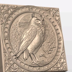 May include: A detailed, carved wooden plaque featuring an owl in a circular frame with ornate details. The owl is depicted in a realistic style with intricate feathers and a sharp gaze.