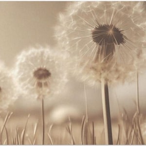 Dandelions at Dusk Large Decoupage Tissue Paper 20"x30"