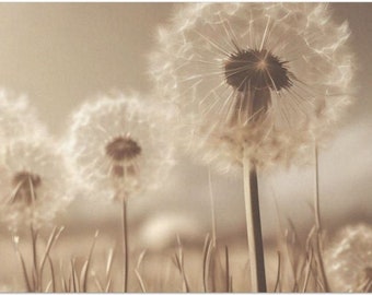 Dandelions at Dusk Large Decoupage Paper (Custom Sizes Available)