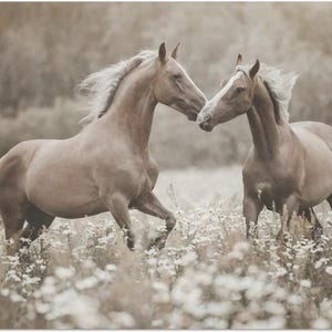 Frolicking in the Field Large Decoupage Tissue Paper 20&quot;x30&quot;