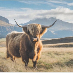 Highland on the Range Large Decoupage Tissue Paper 20&quot;x30&quot;