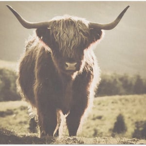 Highland in the Sun Large Decoupage Tissue Paper 20&quot;x30&quot;