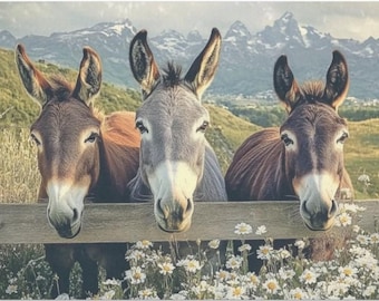 Curious Donkeys Large Decoupage Paper (Custom Sizes Available)