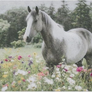 Majestic Meadow Large Decoupage Tissue Paper 20&quot;x30&quot;