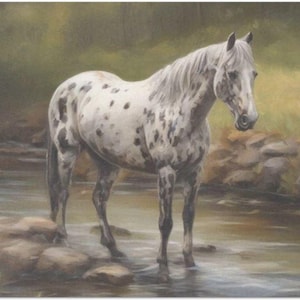 Day Streamin&#39; Large Decoupage Tissue Paper 20&quot;x30&quot;