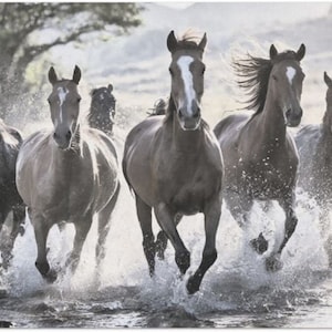 Splashin&#39; Stampede Large Decoupage Tissue Paper 20&quot;x30&quot;