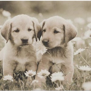Just Adorable Pups Large Decoupage Tissue Paper 20&quot;x30&quot;