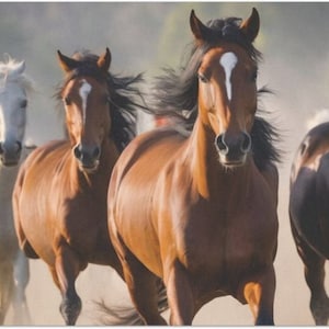 Wild Horses Large Decoupage Tissue Paper 20&quot;x30&quot;