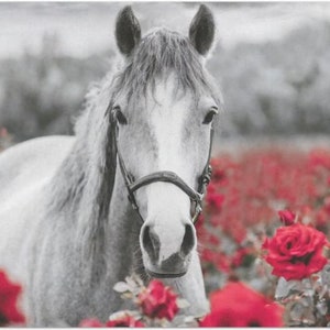 Equine & Roses Large Decoupage Tissue Paper 20&quot;x30&quot;