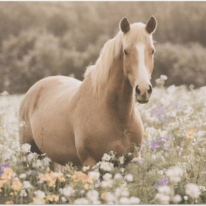 Mare in the Meadow Large Decoupage Tissue Paper 20&quot;x30&quot;
