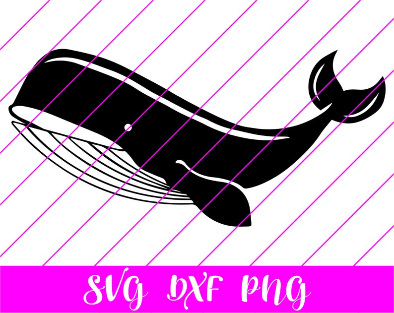 Free Free Baby Whale Svg Free 527 SVG PNG EPS DXF File