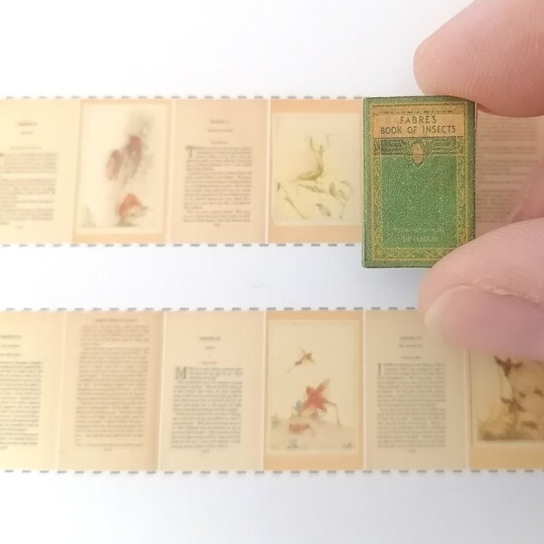 1:12 INSECTS miniature dollhouse book with 32 pages. Printable DOWNLOAD Only. Bonus 1/24 and 1/48 scale included