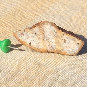 May include: A close-up of a light brown, irregularly shaped rock with white and brown streaks. A green push pin is to the left of the rock.
