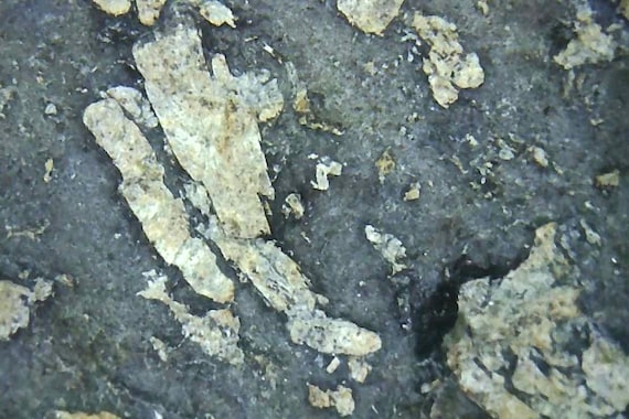 隕石 946 グラム 月の隕石 月の玄武岩と長石質角礫岩 - Etsy 日本