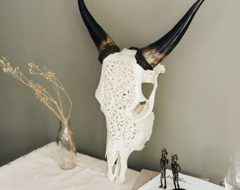 Real Cow Skull Etsy
