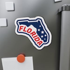 Florida Kiss-Cut Magnets, Sunshine State Refrigerator Decor, Tropical Fridge Magnets, Coastal Souvenir, Florida Travel Gift