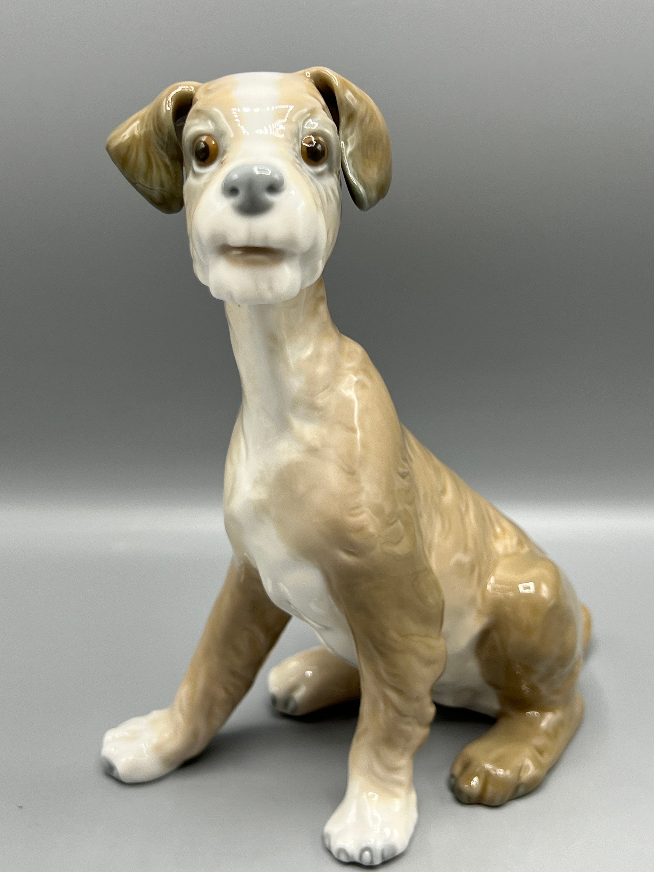 リヤドロ フィギュリン 犬 置物 陶器 箱 説明書付