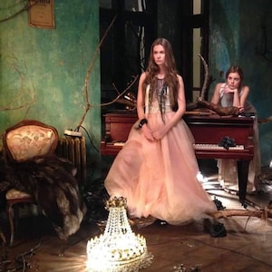 Light Pink ash Tulle Skirt: Party Skirt, Bride to be gown, Special occasion outfit