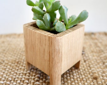 Tasmanian Oak Plant Stand - small | Succulent | Pot Plant | Plant Stand