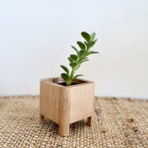 Tasmanian Oak Plant Stand - small | Succulent | Pot Plant | Plant Stand