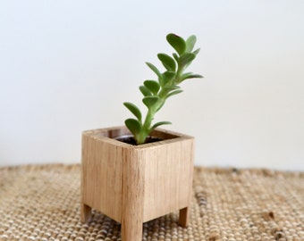 Tasmanian Oak Plant Stand - small | Succulent | Pot Plant | Plant Stand