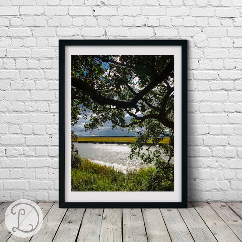 Lowcountry River South Carolina/flowers, Live Oak Tree/printable Art