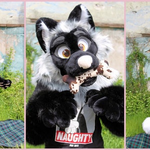 New Silver Fox Premade Fursuit Partial Bild 3