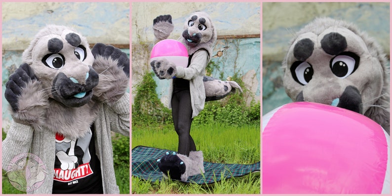 New Seal Premade Fursuit Partial Bild 2