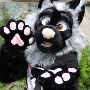 New Silver Fox Premade Fursuit Partial Bild 1