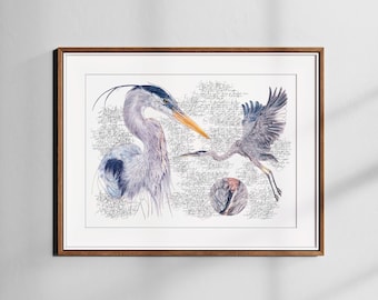 Great Blue Heron Art Print – Bird Wall Art – Nature Illustration – Limited Edition