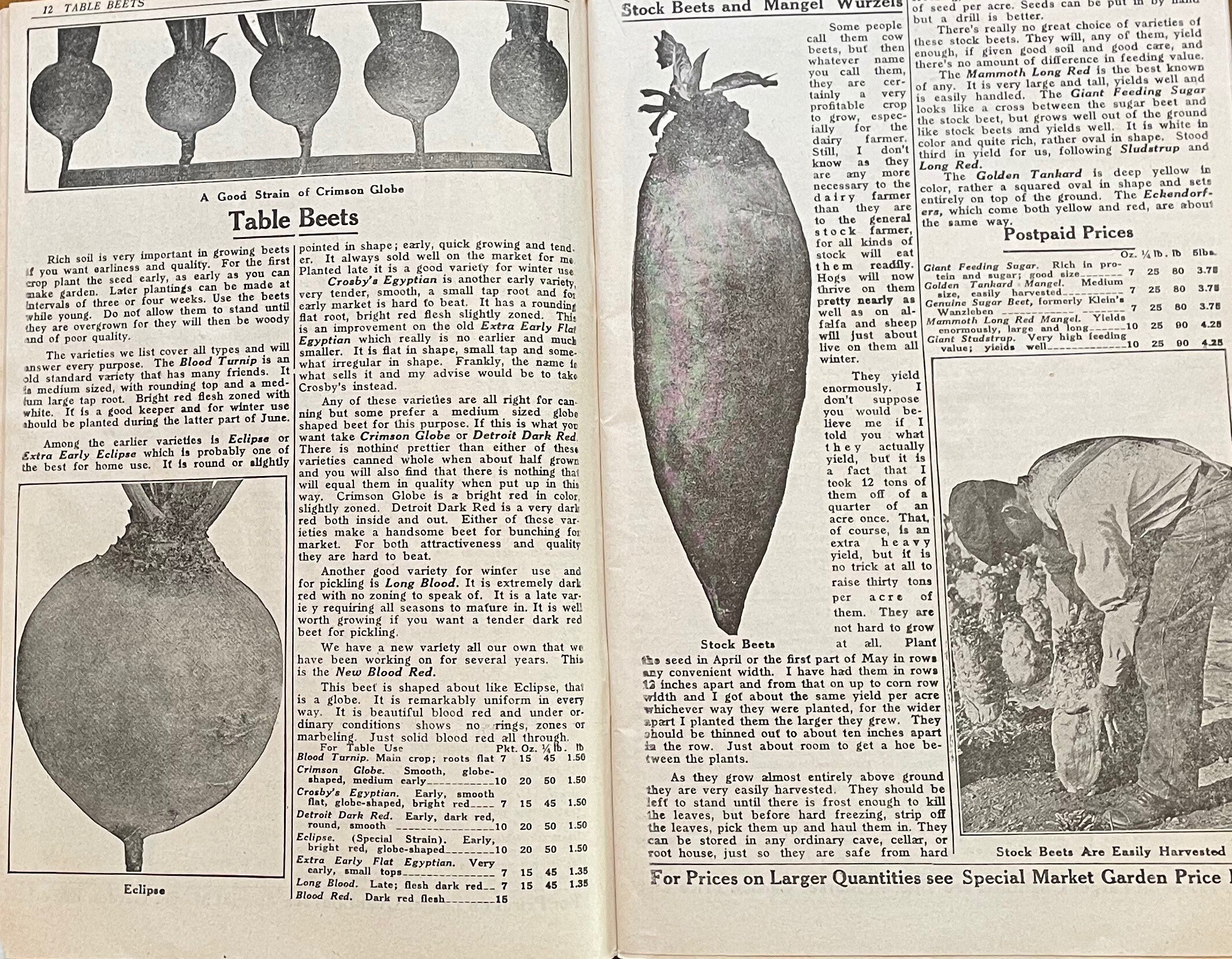 Antique 1920 Seed Catalog Henry Field Seed Gardening Book Etsy