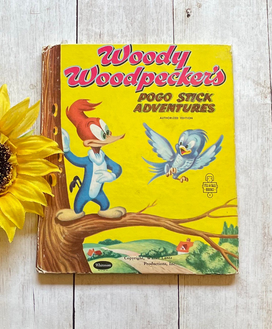 Vintage 1954 Woody Woodpecker Book Whitman Contar un libro de - Etsy España