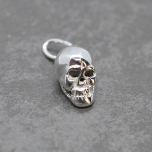 May include: A silver skull charm with a loop for attaching to a necklace or bracelet.