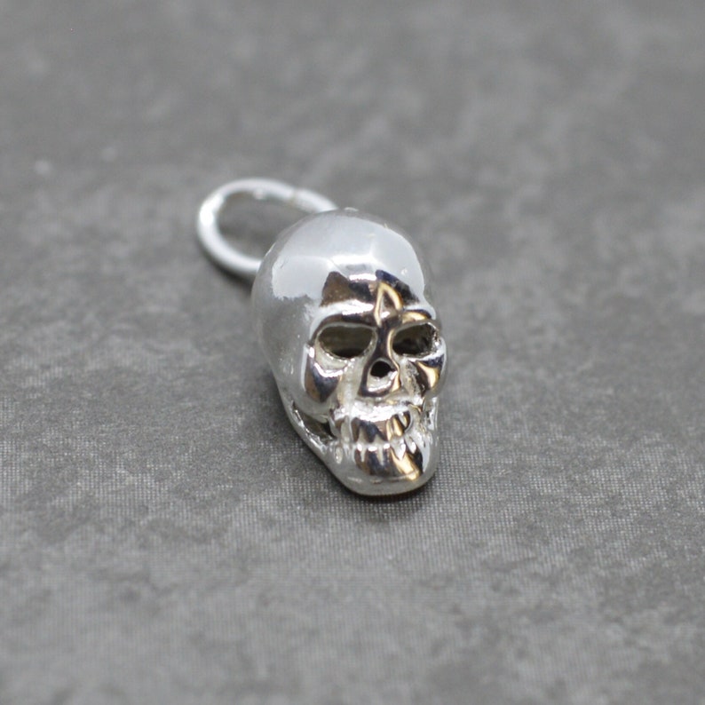 May include: A silver skull charm with a loop for attaching to a necklace or bracelet.