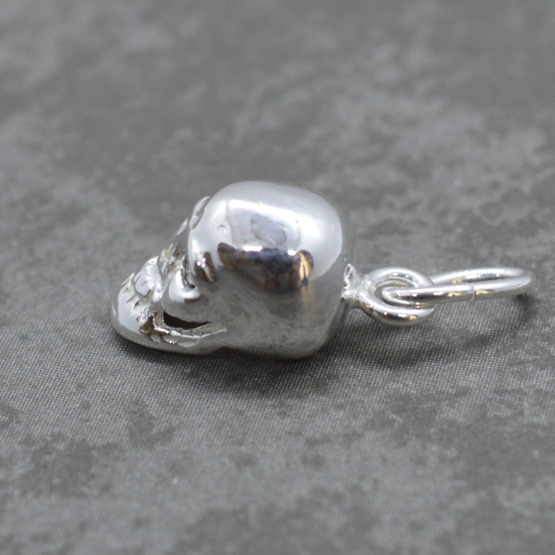 May include: Silver skull charm with a detailed design. The charm has a loop for attaching to a necklace or bracelet.
