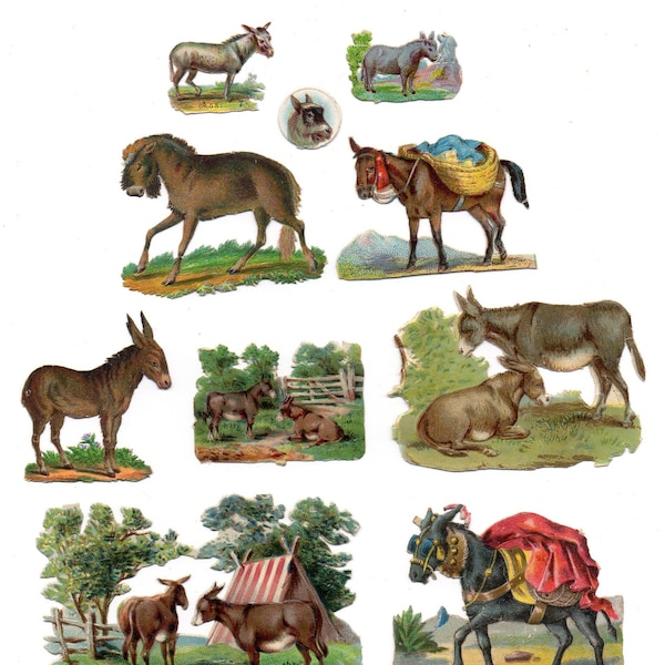 chromos découpis XIXème siècle en lot Donkey âne Victorian scraps  collage création