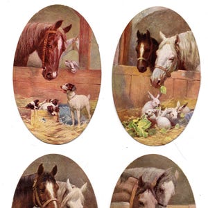 Lot cartes chromos chevaux et chats, chiens, lapins XiXème siècle