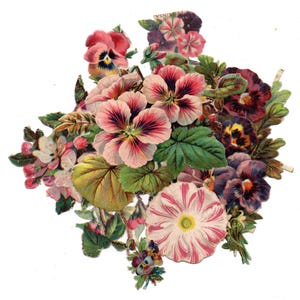 lot spécial collage Fleurs roses