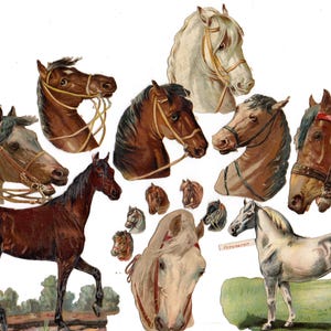 Lot de Chromos découpis vintage pour création Victorian scraps Scrapbooking Cheval