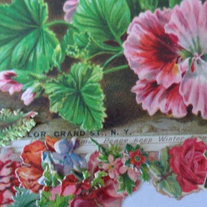 Lot carte de Noël USA + découpis Fleurs pour collage scrapbook création