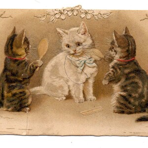 Ravissante carte chromo XIX ème siècle Chats Chatons