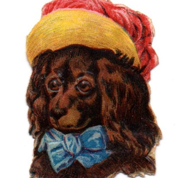 Chromo vintage gaufrée Animal humanisé Chien image victorienne Scrapbook Déco