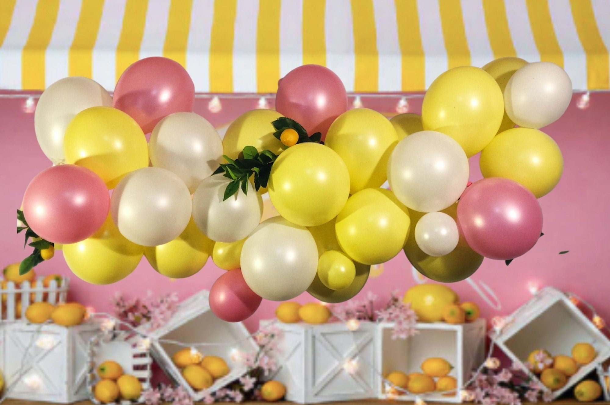 5 FT Pink Lemonade Balloon Garland Kit 5FT-Lemon Chiffon