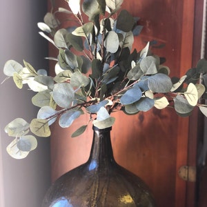 Artificial Silk Silver Dollar Eucalyptus Stems-Tall 25&quot; Pack of 5