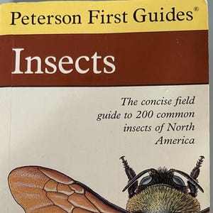 May include: A book cover for a field guide to insects. The cover features a detailed illustration of a bumblebee with black and yellow stripes. The title of the book is "Insects" and the subtitle is "The concise field guide to 200 common insects of North America". The author is Christopher Leahy and the illustrator is Richard E. White.