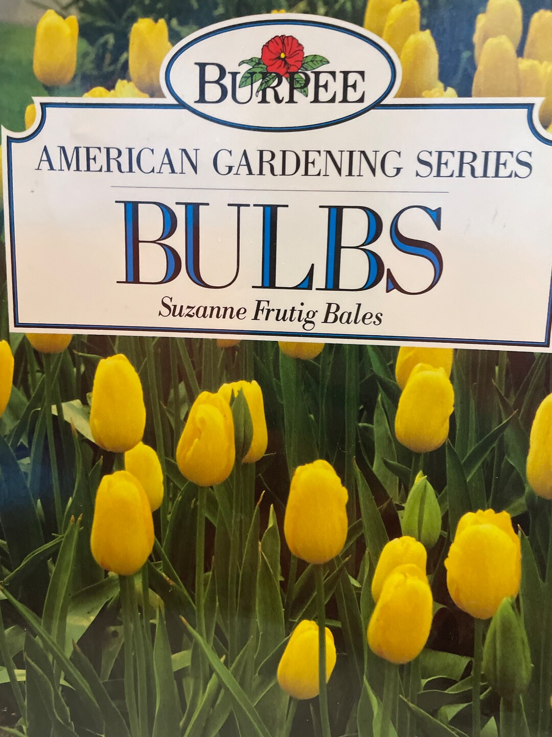 Burpee Bulbs American Gardening Series Etsy