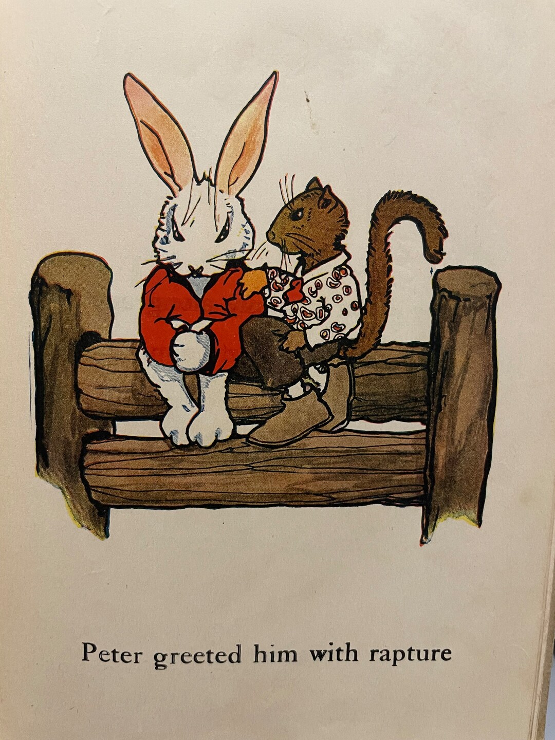 Chipmonk Rabbit Mix Peter Rabbit and Jimmy Chipmunk 1918 Saalfield Publishing Has Some ...