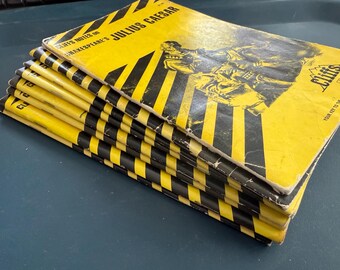 Vintage Collection of Cliffs Notes - Etsy