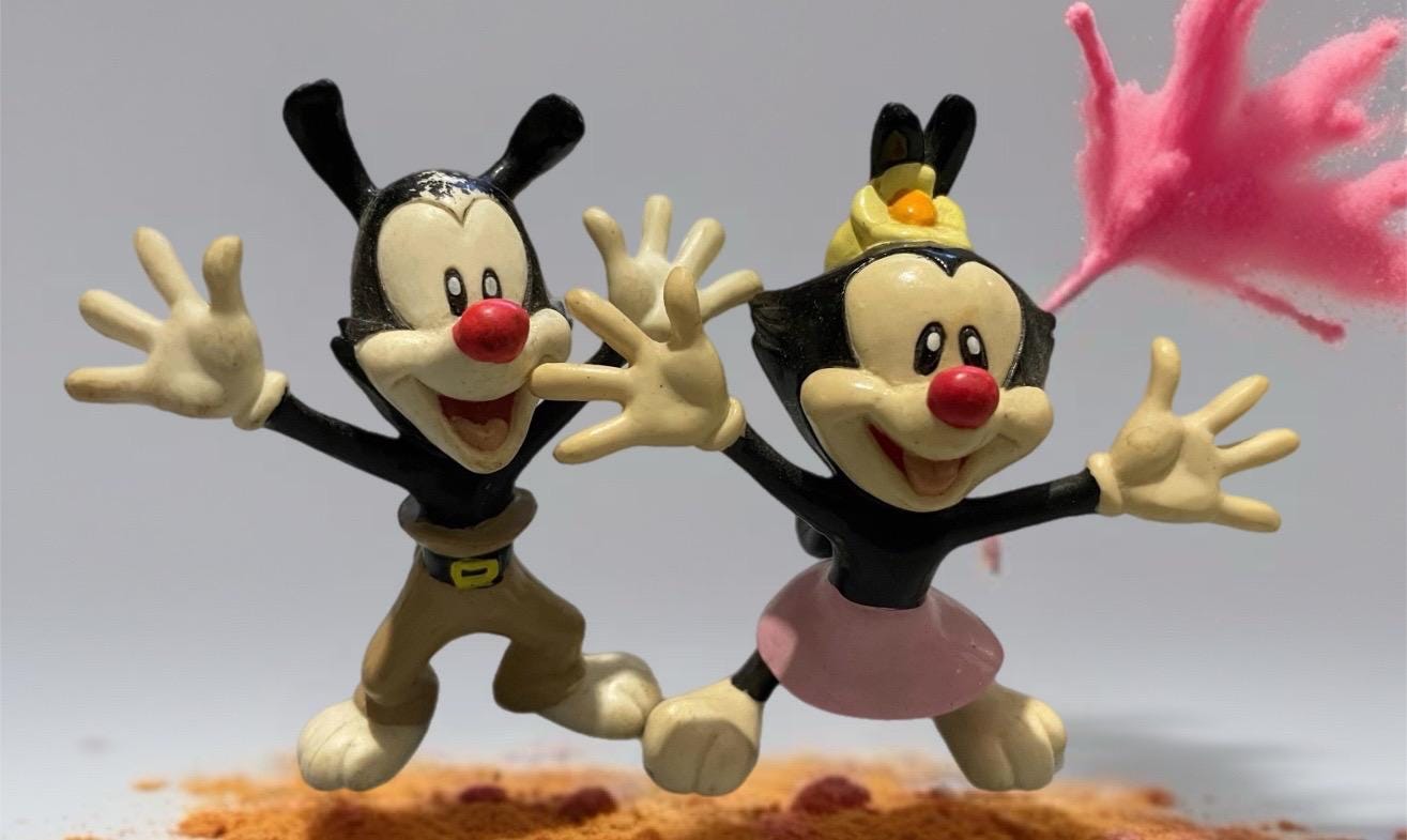 Vintage PVC figurine from the Animaniacs cartoon