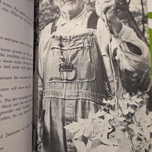 May include: A man in overalls holds a yellowroot plant he has just pulled up from a stream bank. The caption reads "PLATE 241 Harley Carpenter holds a yellowroot plant he has just pulled up from a stream bank near his home."